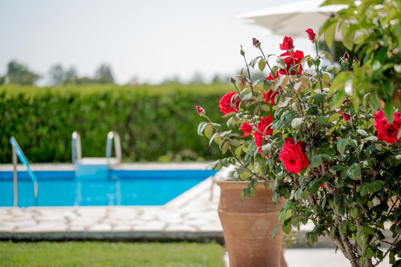 VILLA IN PIETRA Kalamaras Makhairadhon Bagian luar foto